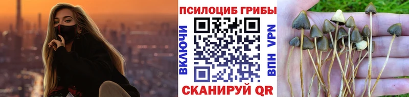 Галлюциногенные грибы мицелий  ОМГ ОМГ зеркало  Трёхгорный 